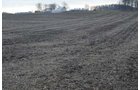 Property photo 54 - 98+/- Acres Offered in 6 Tracts or Combinations, Noble County, Indiana Farm